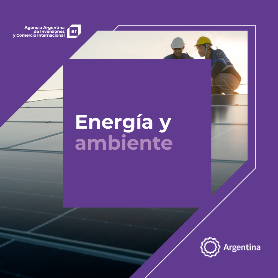 https://www.inversionycomercio.org.ar/images/publicaciones/Oferta exportable argentina: Energía y ambiente