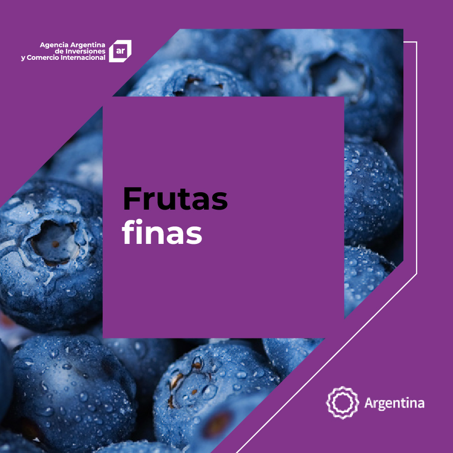 https://www.inversionycomercio.org.ar/images/publicaciones/Oferta exportable argentina: Frutas finas